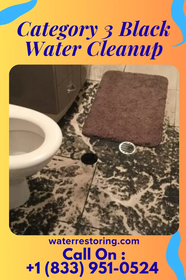 Category 3 Black Water Cleanup in Buena Vista, TX
