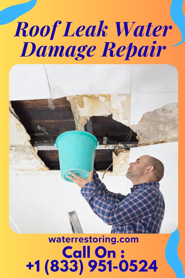 Roof Leak Water Damage Repair in Buena Vista, TX
